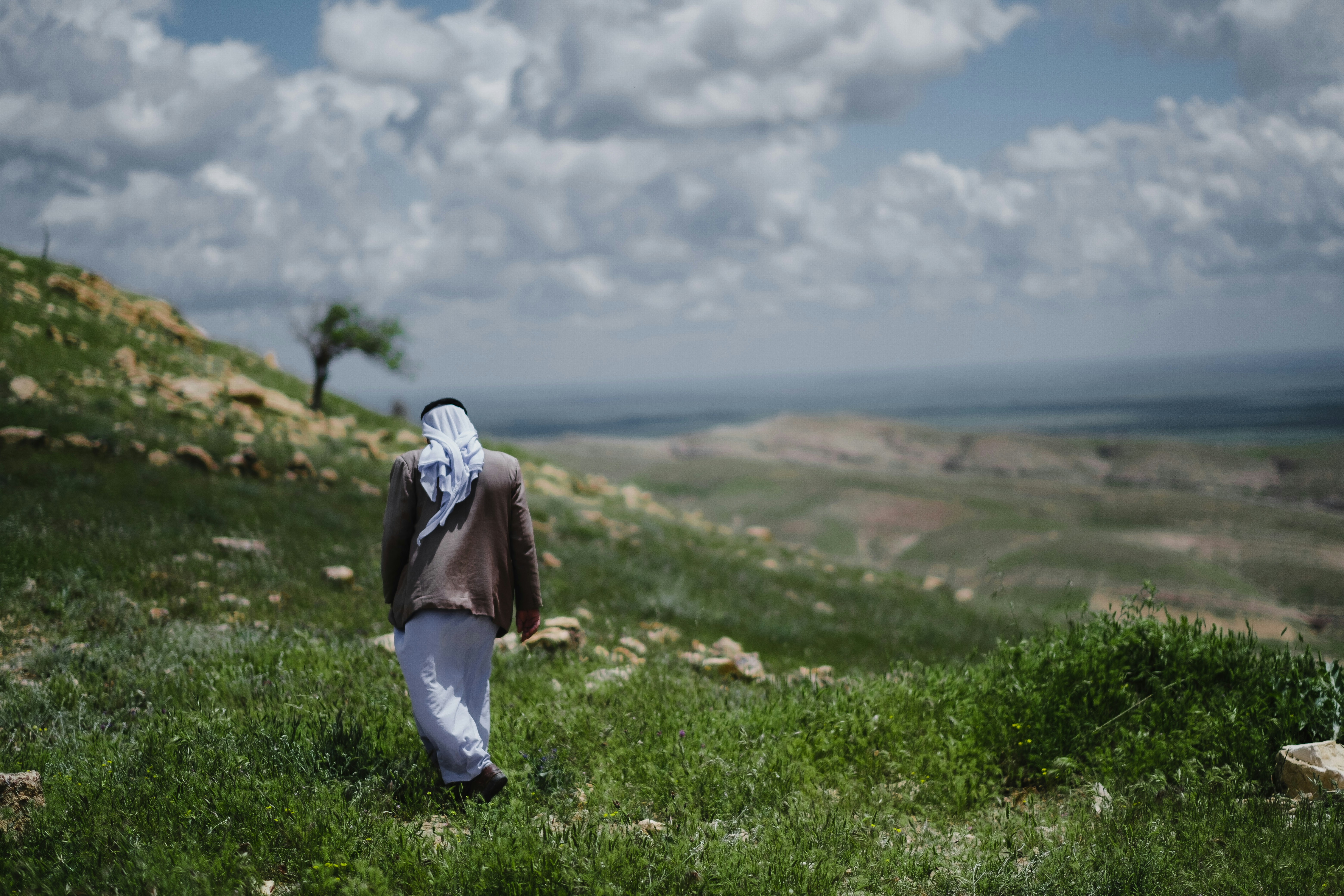 مشهد بيئي من العراق - 2