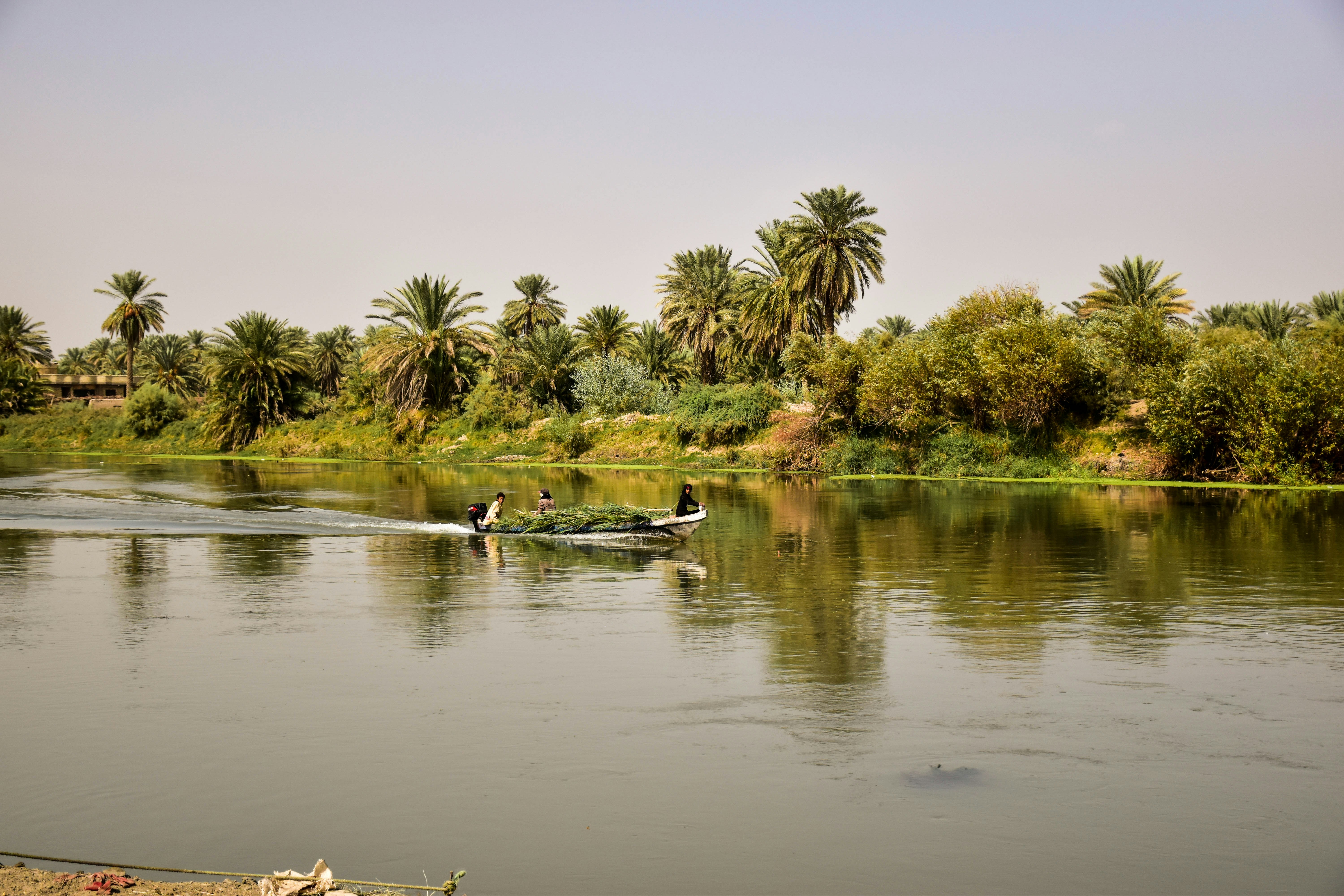 مشهد بيئي من العراق - 6